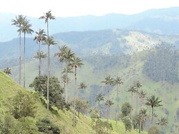 Eco Hotel La Cabaña