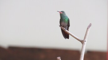 Eco Hotel La Cabaña