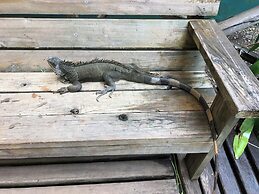 Maya Bella Downtown Hotel