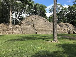 Maya Bella Downtown Hotel