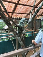 Maya Bella Downtown Hotel