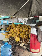 Maya Bella Downtown Hotel