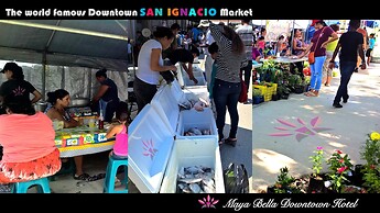 Maya Bella Downtown Hotel