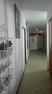Casa Zocalo Rooms
