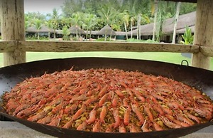 Portobello Resort & Safári