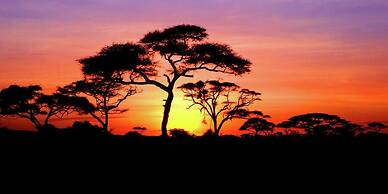 Bothabelo Bed & Breakfast