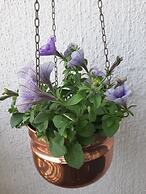 Seaside Downtown Apartment