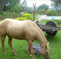 Pousada Padre Toledo