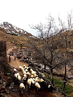 Gite Entre Les Vallées