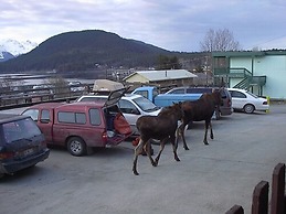 Captain's Choice Motel