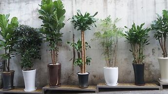 Daeyoung Hotel Seoul