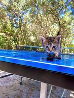 Kemerbag 29 - Adults Only