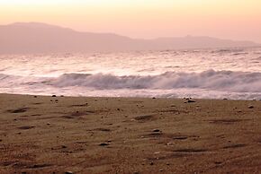 Despina Villa and Apartments