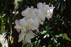 Sen Monorom I Guesthouse