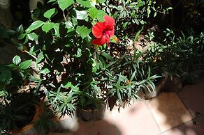 Sen Monorom I Guesthouse