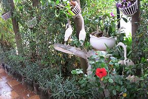 Sen Monorom I Guesthouse