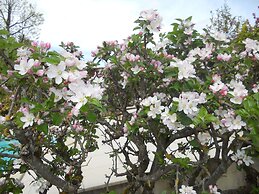 La Maison du Phare B&B