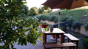 Serendipity House B&B