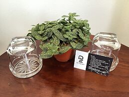 An Nguyen Boutique Hotel