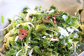 Art Hotel Ishigakijima