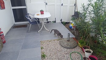 Pleasure Beachside Studios