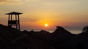 Pleasure Beachside Studios