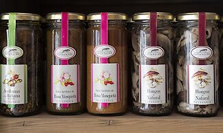 Oceano Patagonia by Nordic