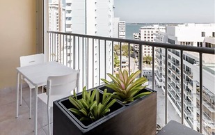 Caribbean Presidential Suite Ocean View