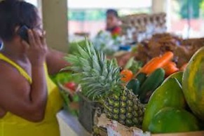 Le Nautique Luxury Beachfront Apartments