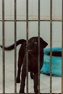 Urbanest Inn House TB Simatupang