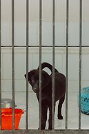 Urbanest Inn House TB Simatupang