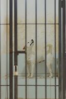 Urbanest Inn House TB Simatupang