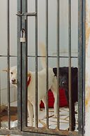 Urbanest Inn House TB Simatupang