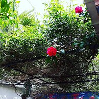 Orhan Kutbay'in Evi Turyolu Cafe Pansiyon