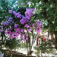 Orhan Kutbay'in Evi Turyolu Cafe Pansiyon