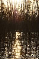 Beta Home Lake House