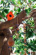 Oya Boutique Hotel & Suites