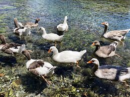 Portofino Boutique Hotel