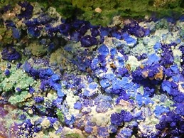 Poseidon Beach Villas