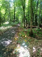 Auberge Pourvoirie Isle-aux-Grues