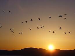 Auberge Pourvoirie Isle-aux-Grues