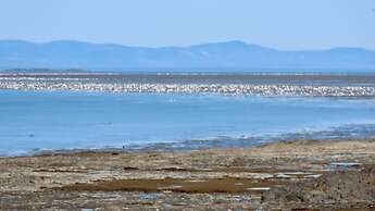 Auberge Pourvoirie Isle-aux-Grues