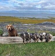 Auberge Pourvoirie Isle-aux-Grues