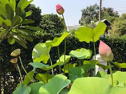 A Taste of Europe in Chiang Mai