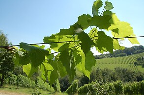 Weingut Primus - Südsteiermark