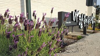 Wind Jeju Cafe & Pension