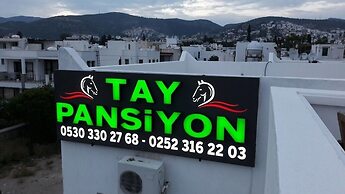 Tay Pansiyon