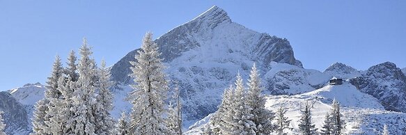 Hotel Alpenhof Grainau
