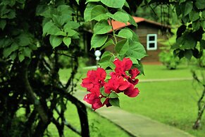 The Log Cab Inn Resort