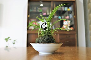 Banana Hammock - Hostel